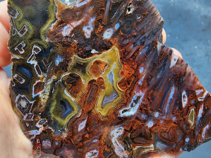 Lapidary Slabs