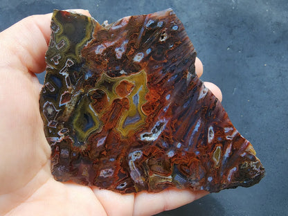 Lapidary Slabs