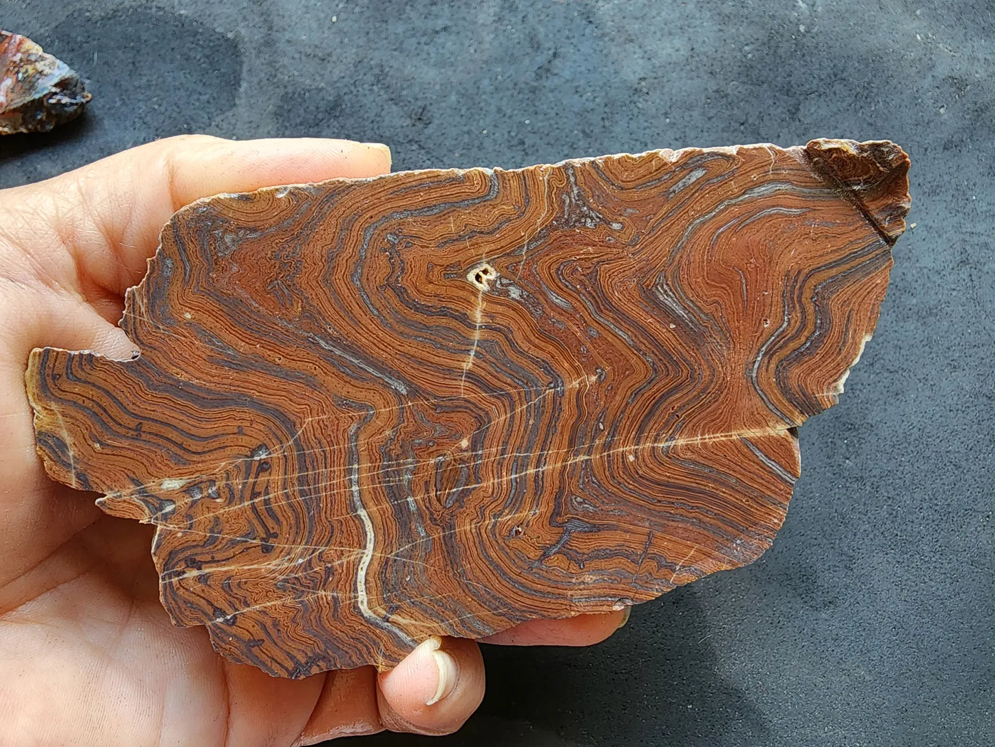 Lapidary Slabs