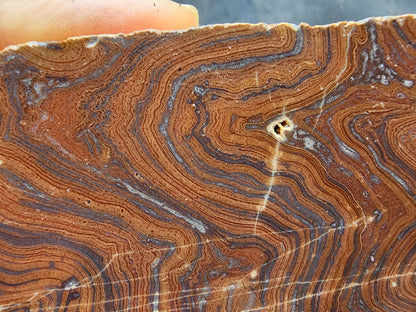 Lapidary Slabs