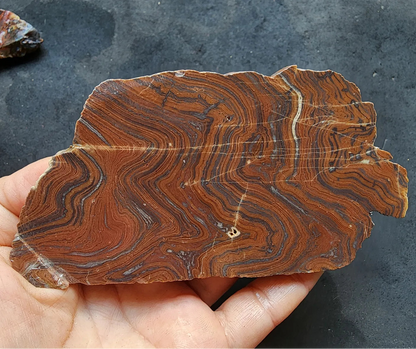 Lapidary Slabs