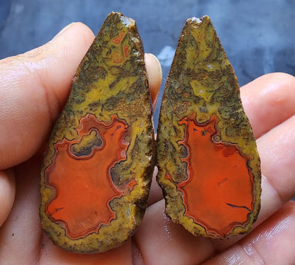 Red Agate - Red Cat