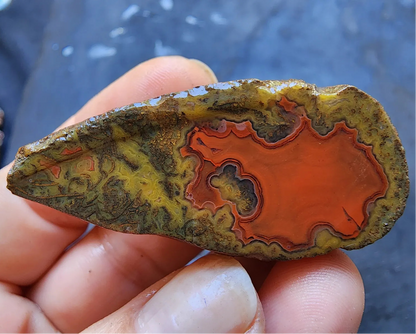 Red Agate - Red Cat