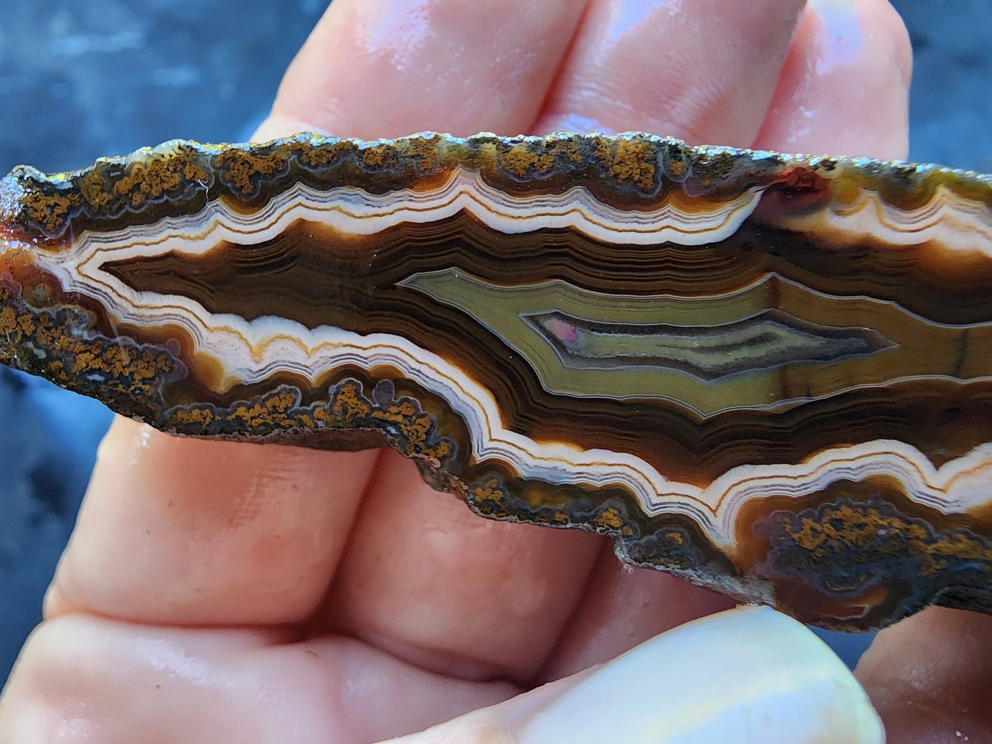 Banded & Plume Agate - #tag1# - #tag2#