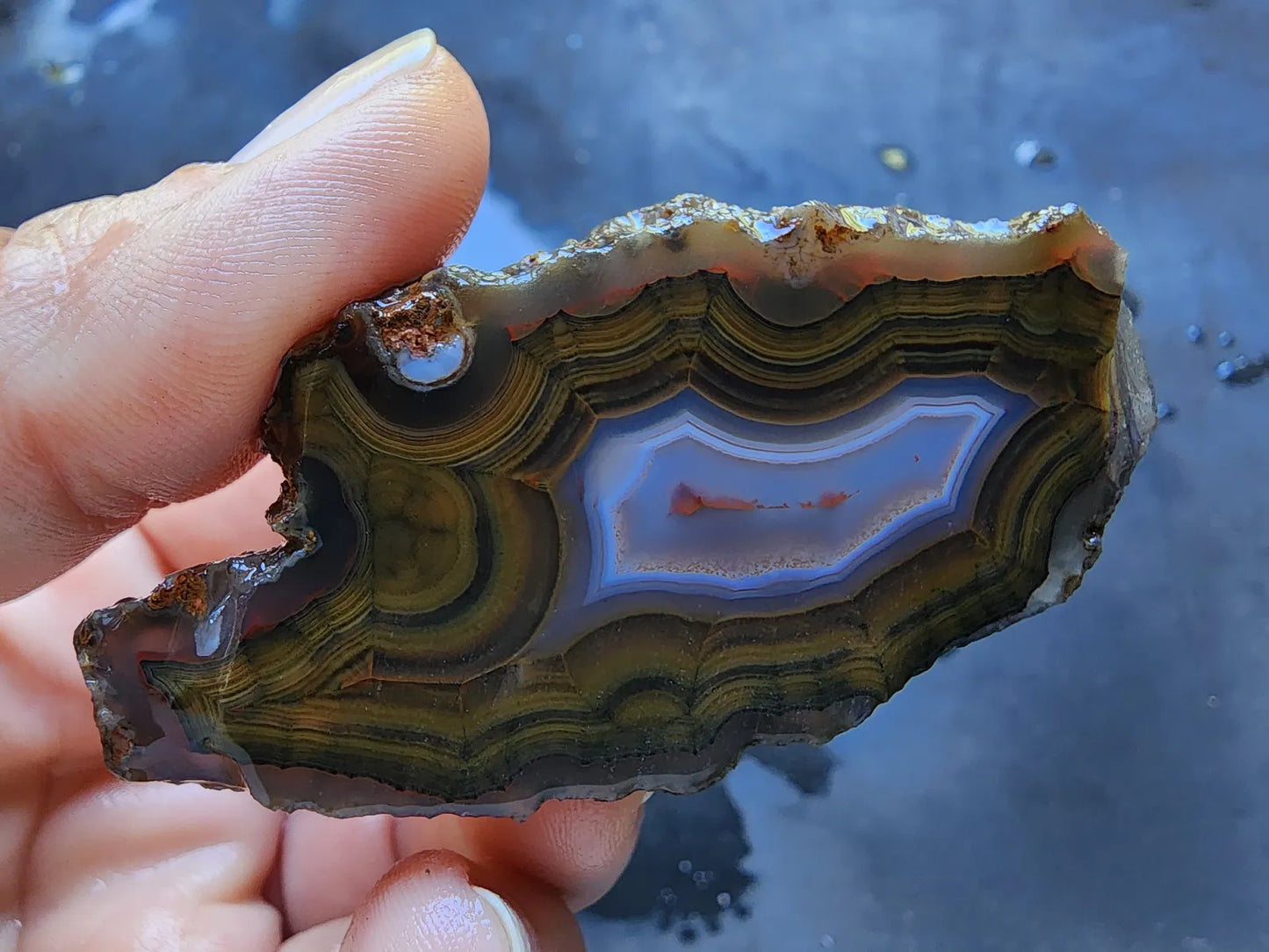 Blue & Green Fortification Agate