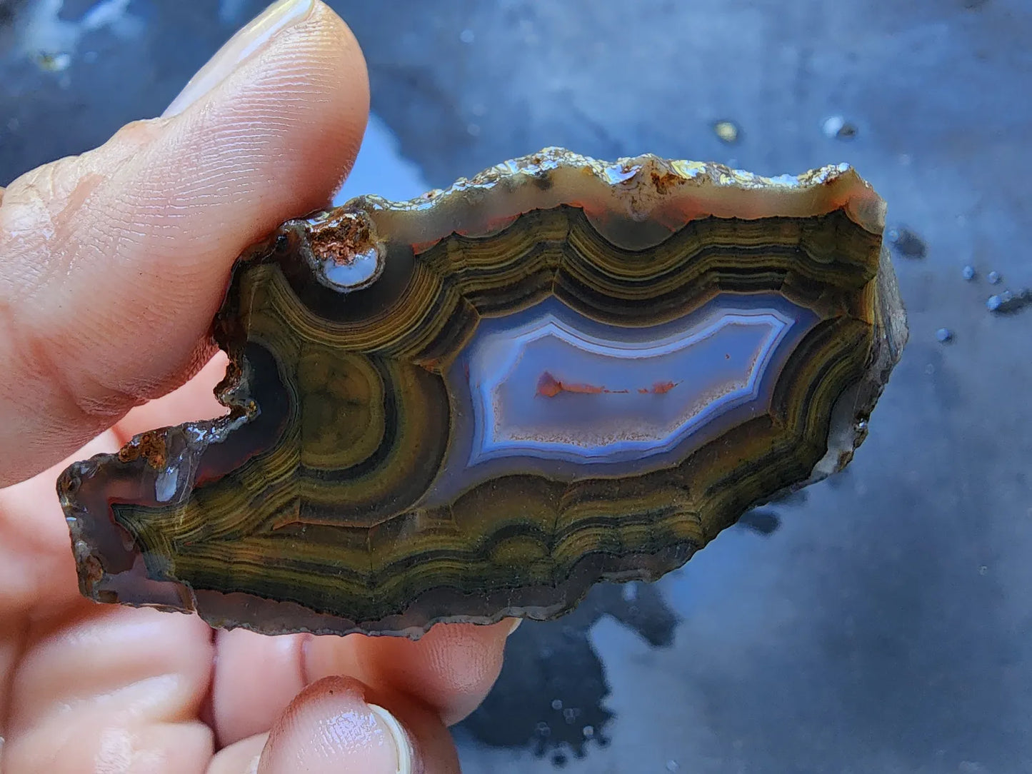 Blue & Green Fortification Agate