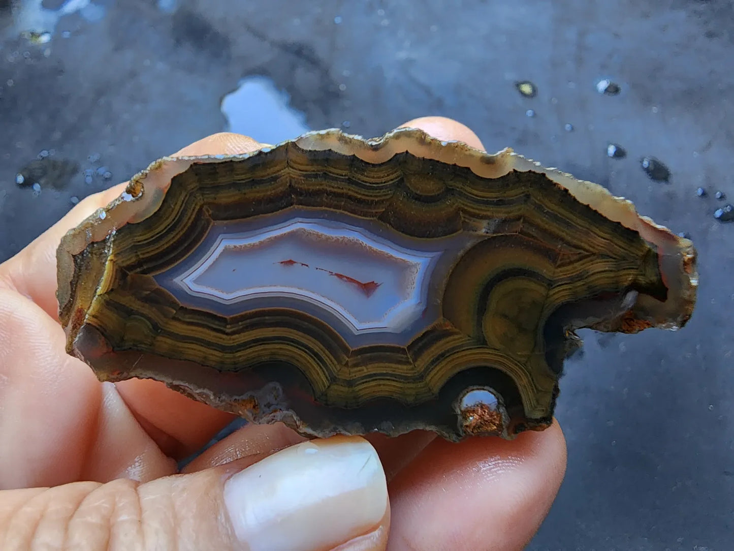 Blue & Green Fortification Agate
