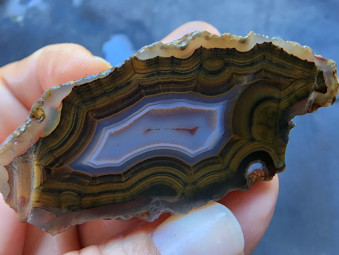 Blue & Green Fortification Agate