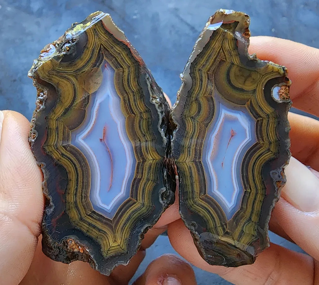 Blue & Green Fortification Agate