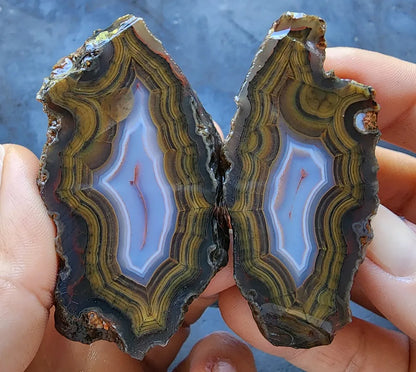 Blue & Green Fortification Agate