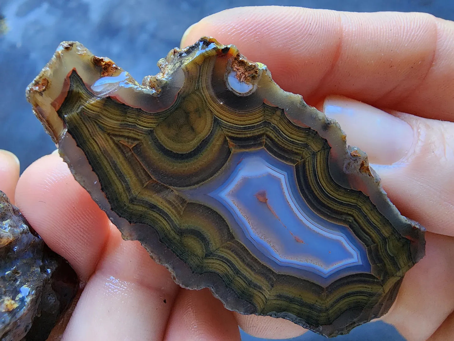 Blue & Green Fortification Agate