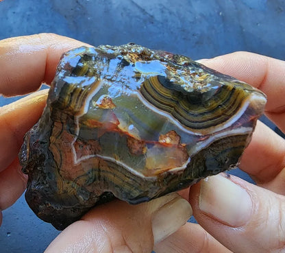 Blue & Green Fortification Agate