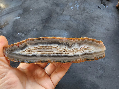 Banded Agate Pair