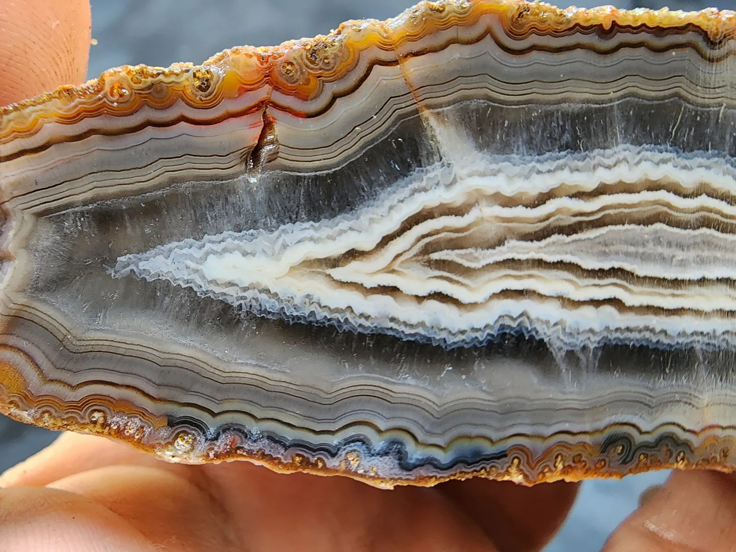 Banded Agate Pair