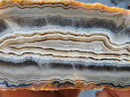 Banded Agate Pair