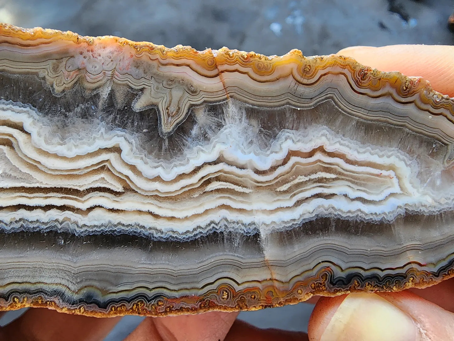 Banded Agate Pair