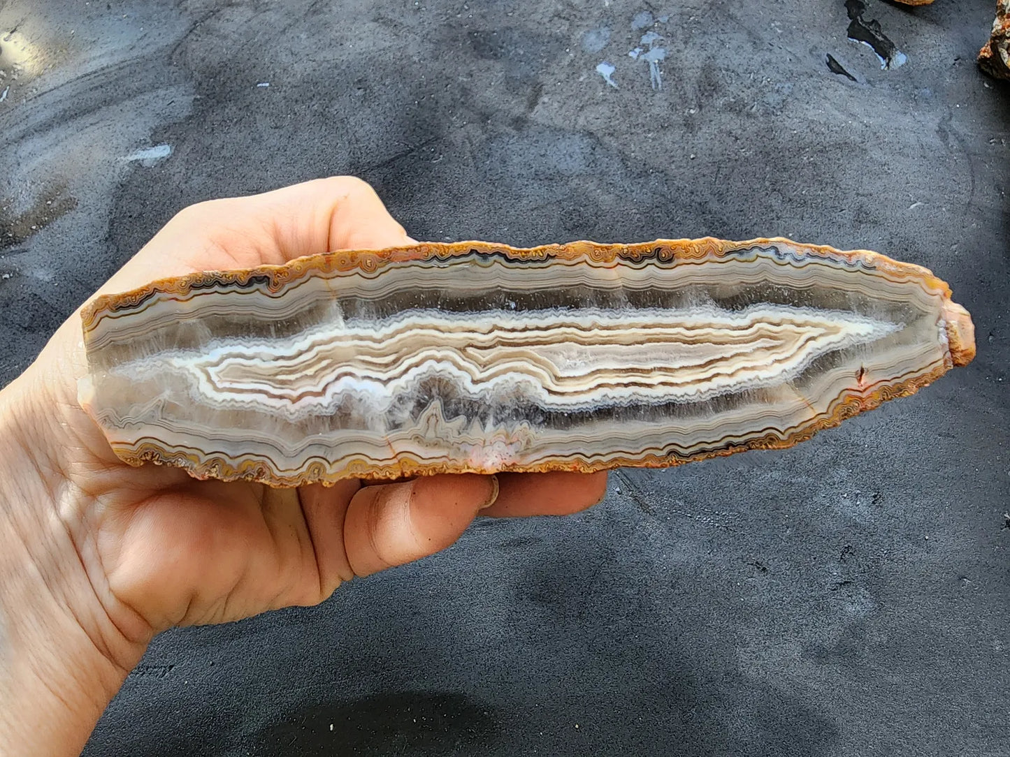 Banded Agate Pair