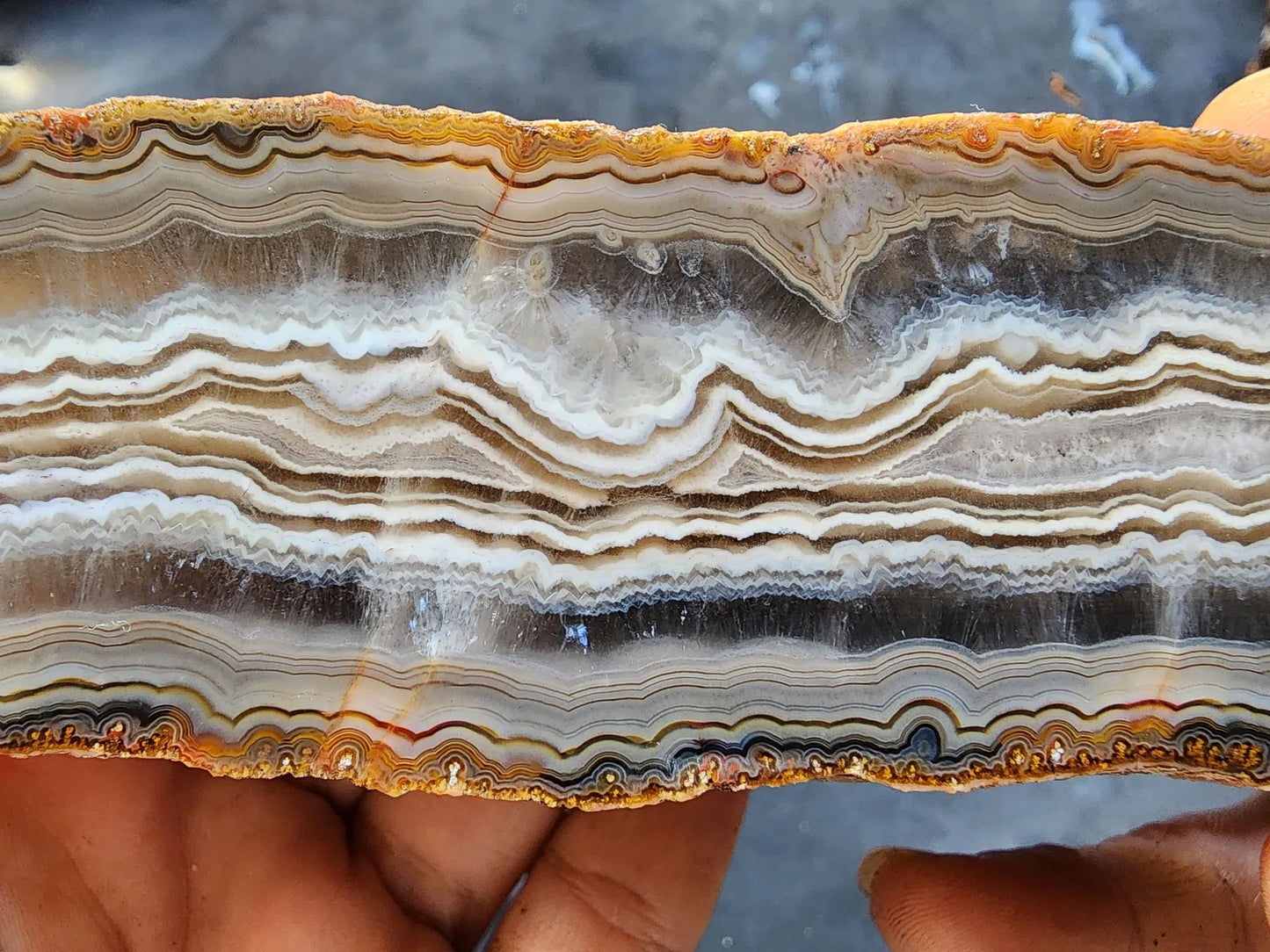 Banded Agate Pair