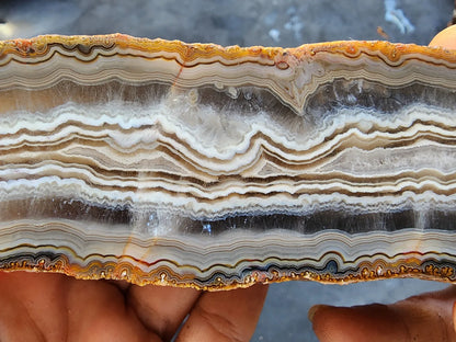 Banded Agate Pair