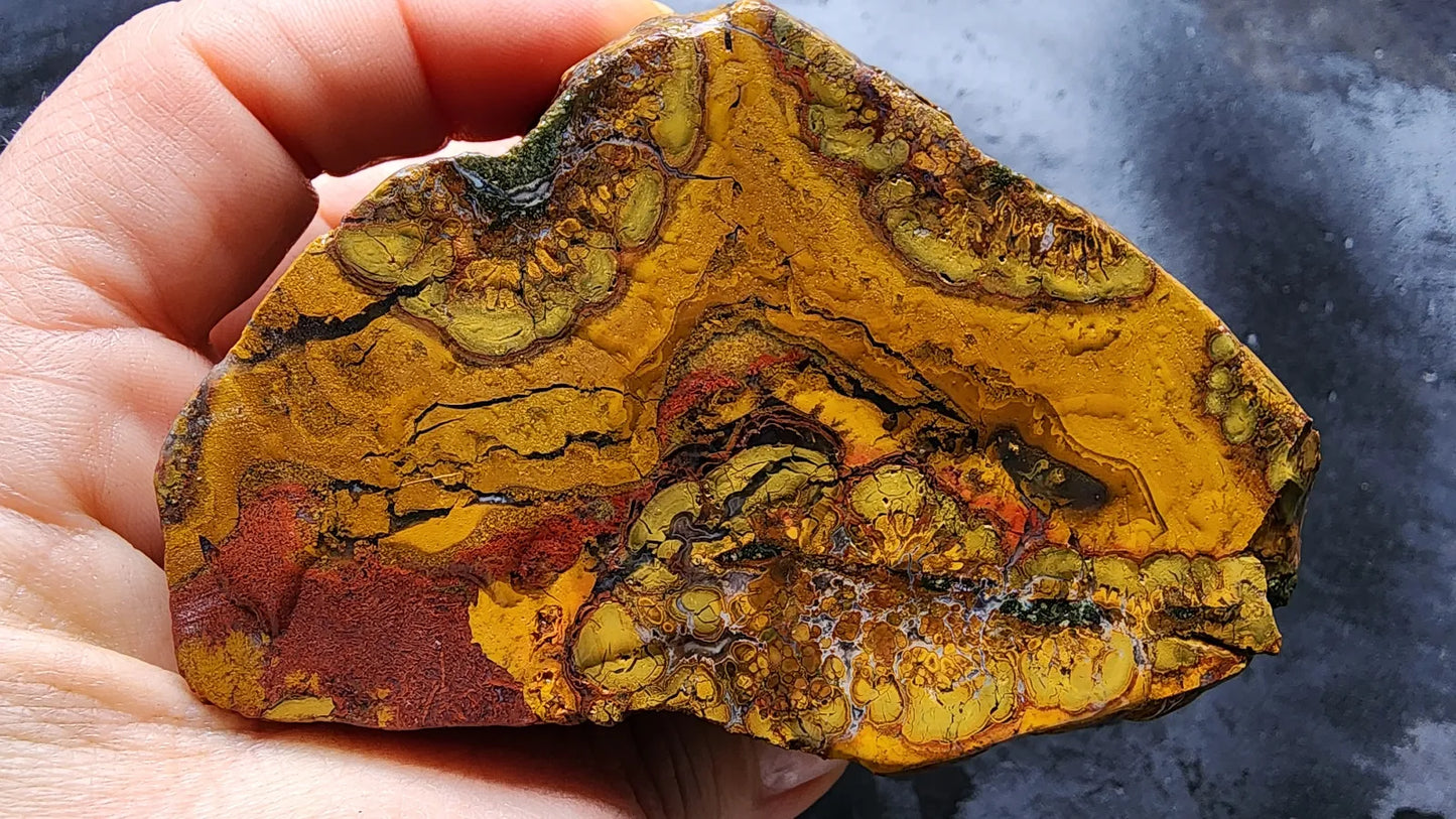Beautiful Jasper Pair
