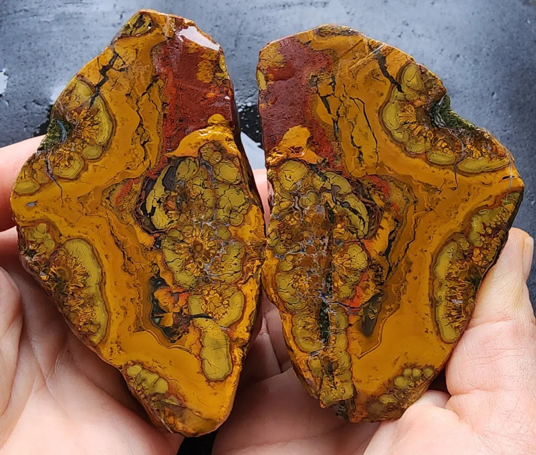 Beautiful Jasper Pair