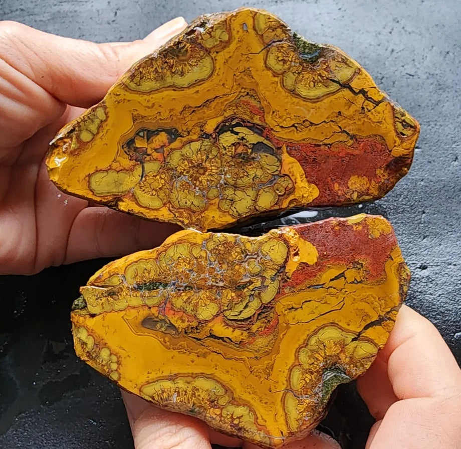 Beautiful Jasper Pair