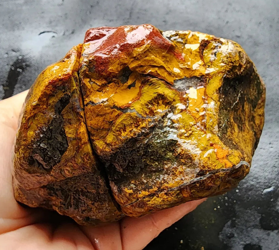Beautiful Jasper Pair