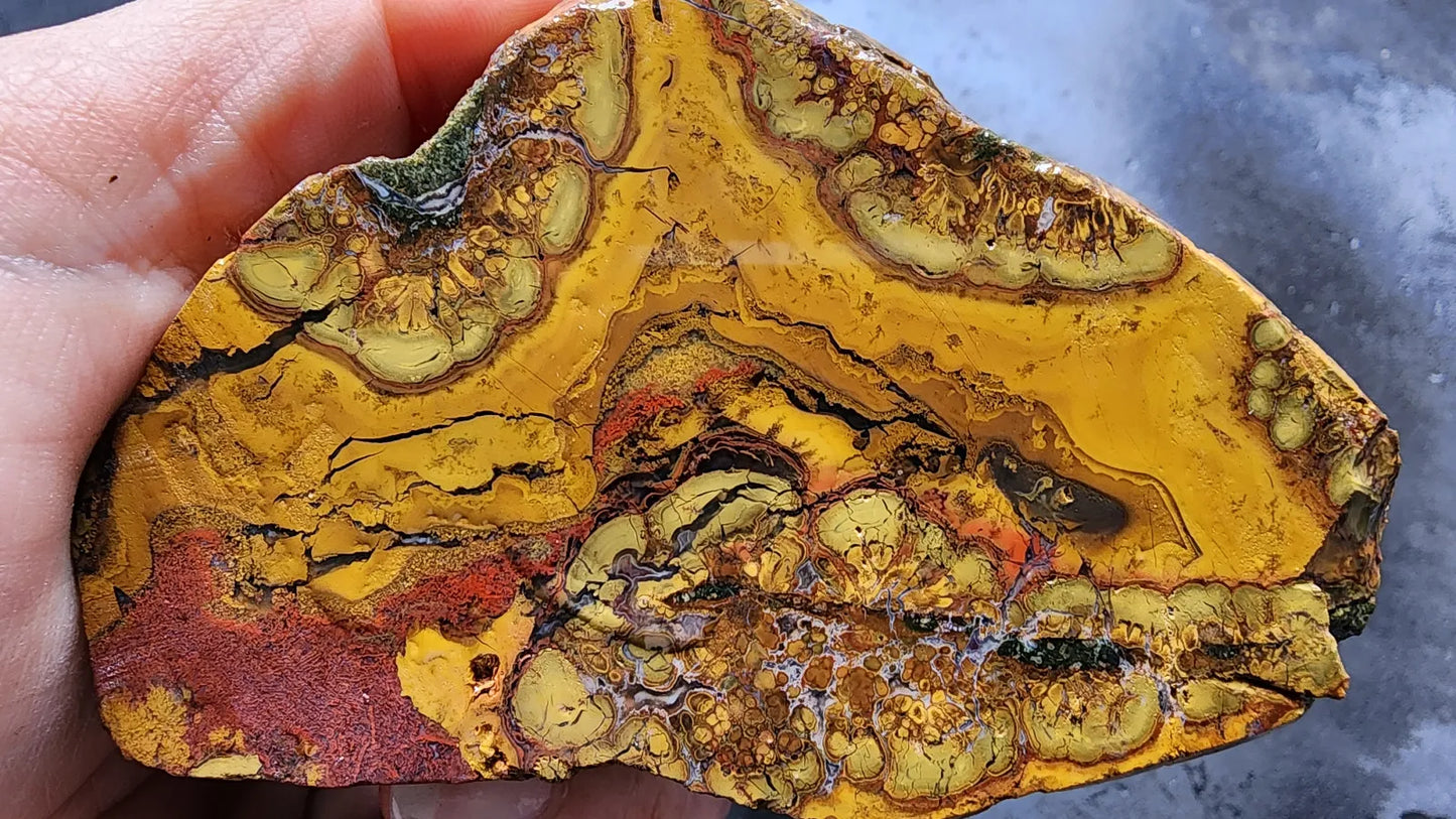 Beautiful Jasper Pair