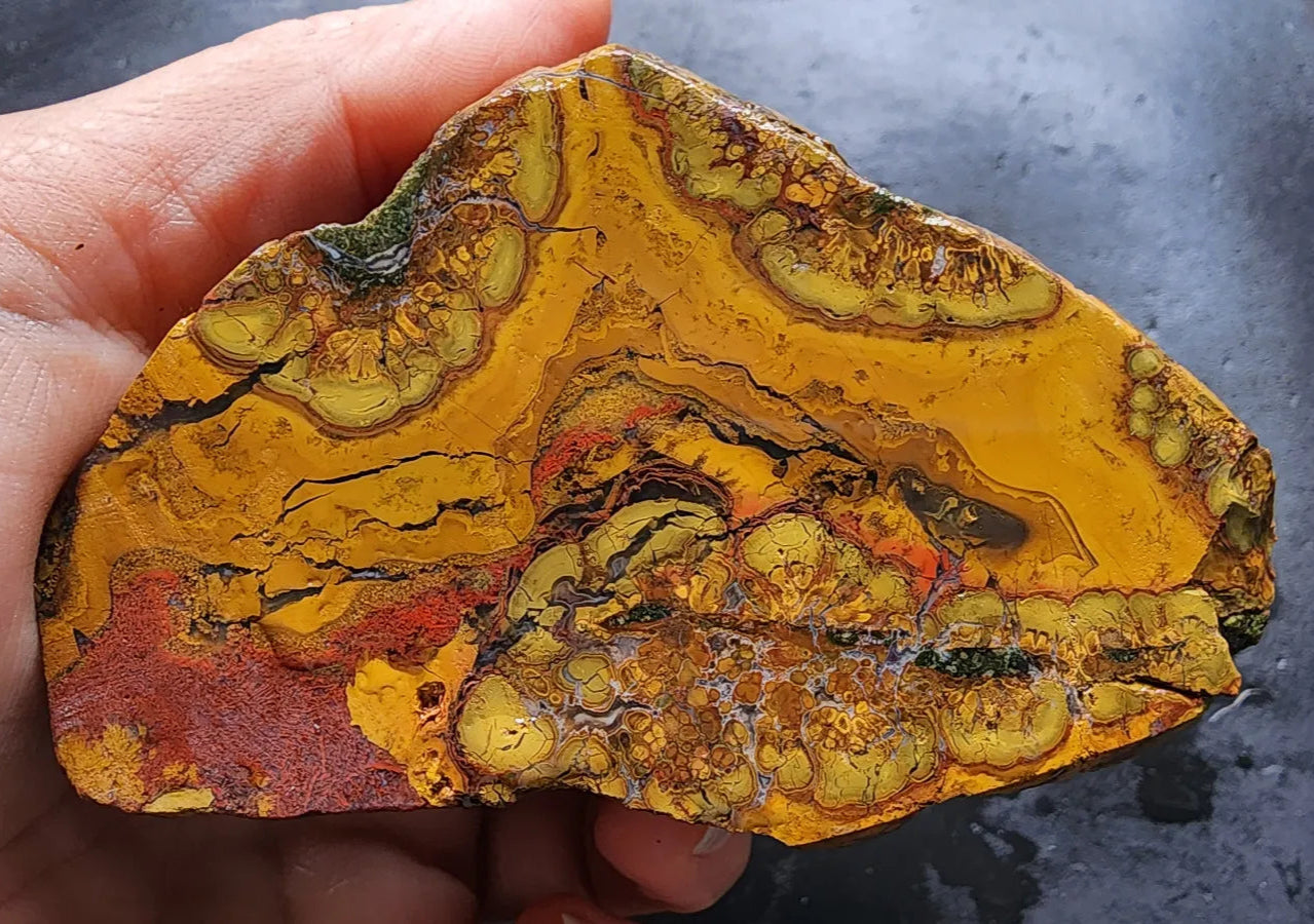 Beautiful Jasper Pair