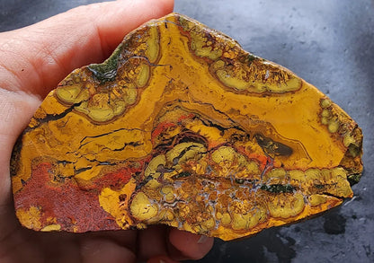Beautiful Jasper Pair