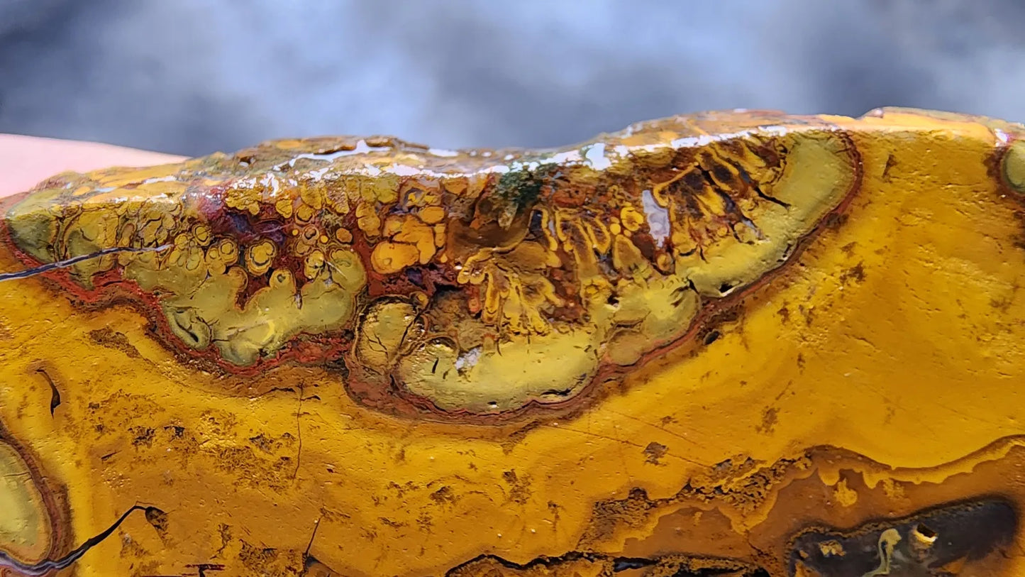 Beautiful Jasper Pair