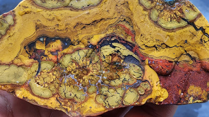 Beautiful Jasper Pair