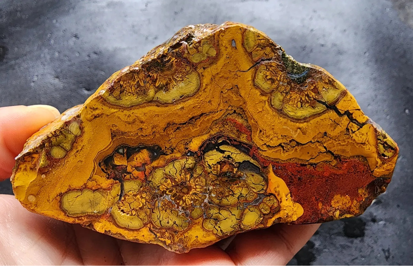 Beautiful Jasper Pair