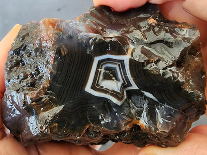 Black Banded Agate