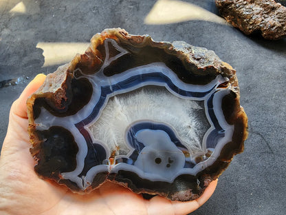 Blue Agate - Thunder Egg