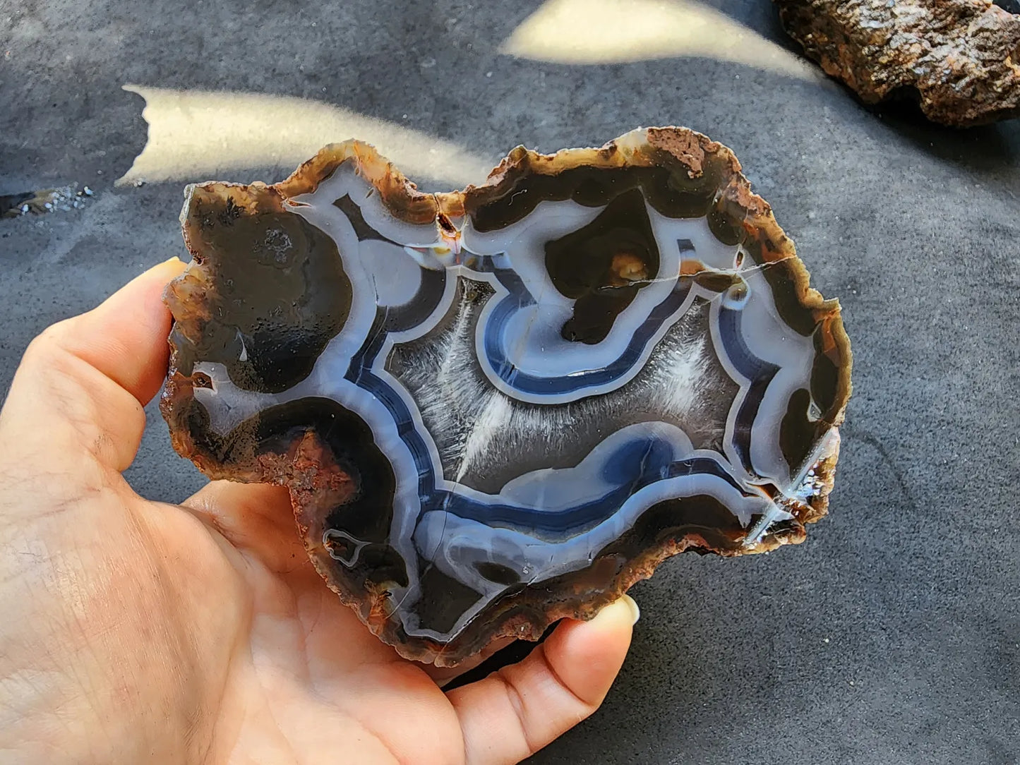 Blue Agate - Thunder Egg