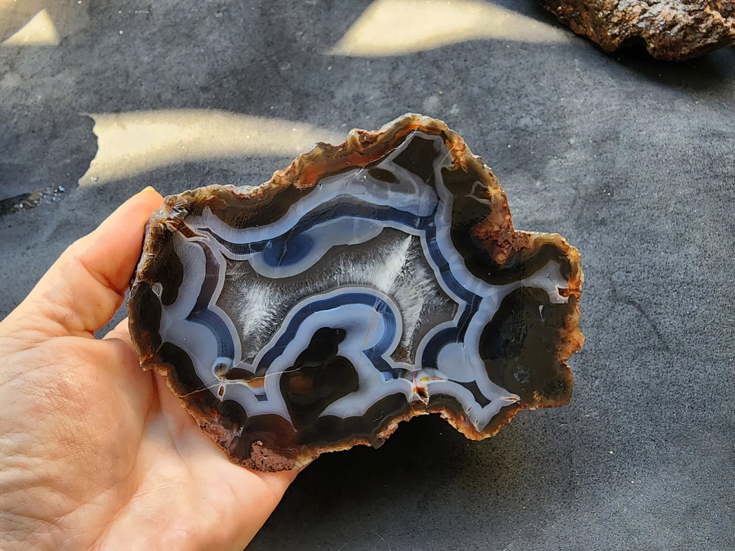 Blue Agate - Thunder Egg