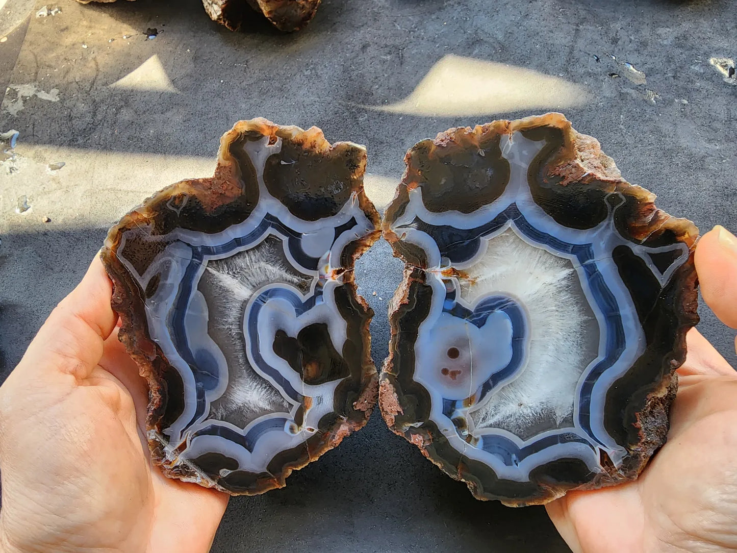 Blue Agate - Thunder Egg