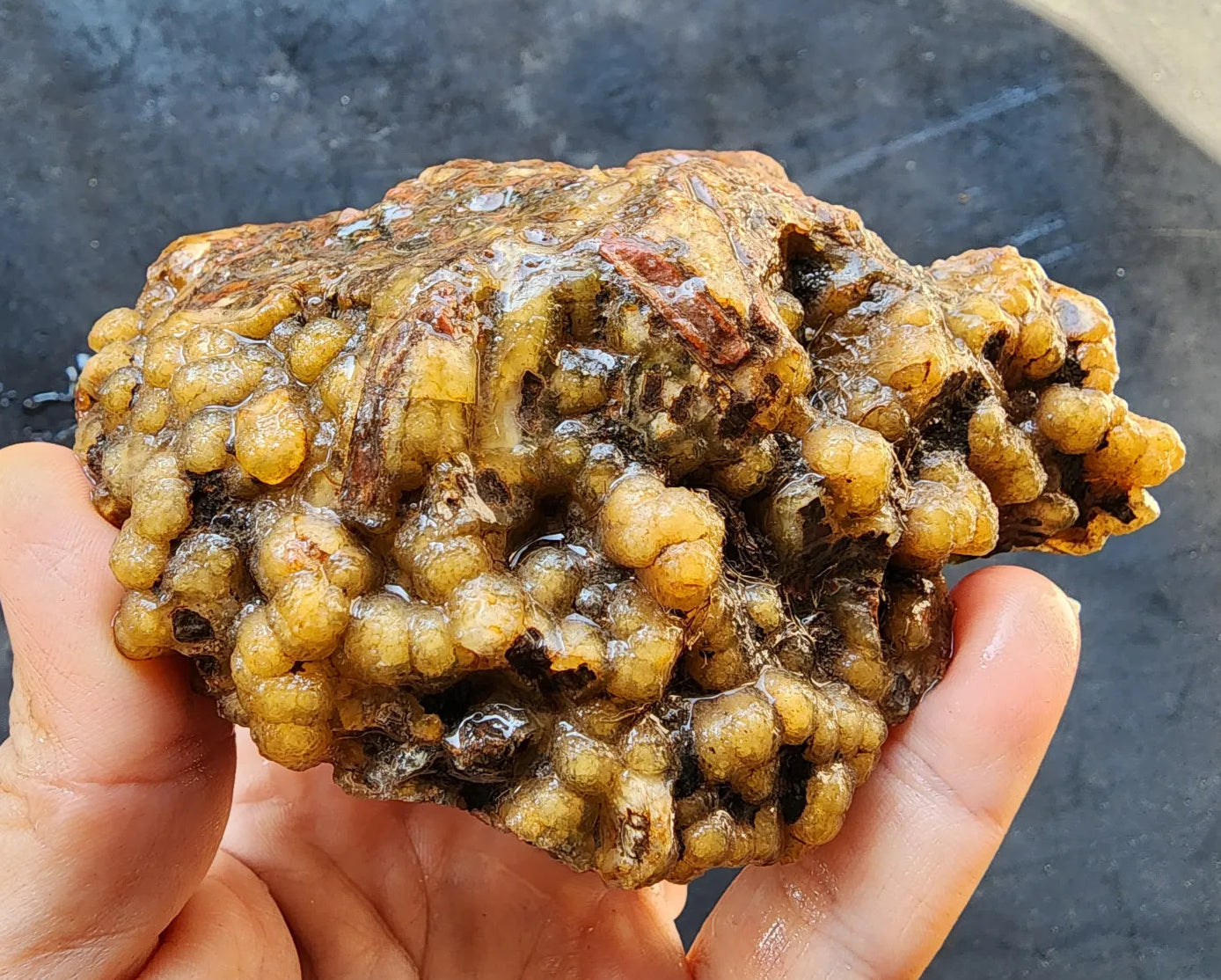 Grape Agate