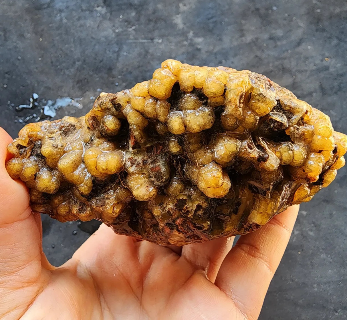 Grape Agate