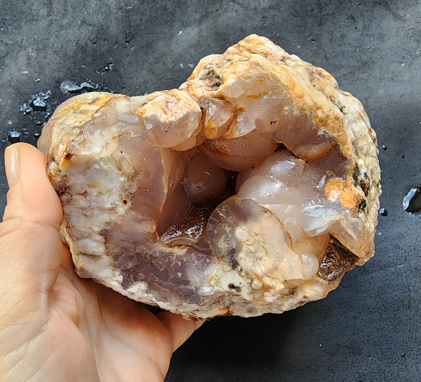 Botryoidal Flower Agate