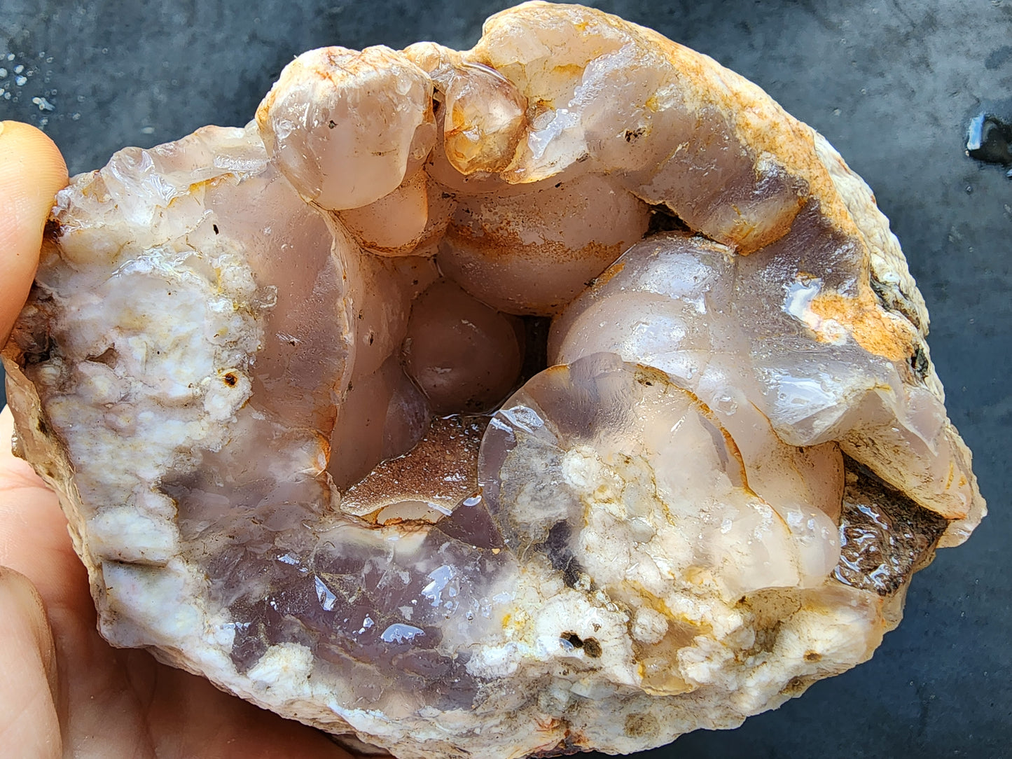 Botryoidal Flower Agate