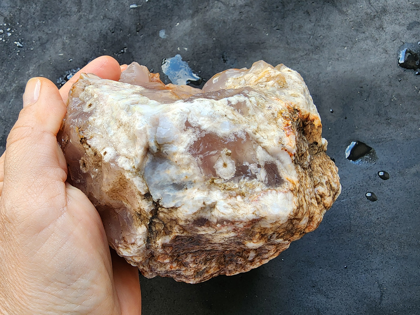 Botryoidal Flower Agate