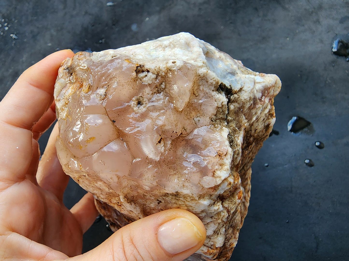 Botryoidal Flower Agate