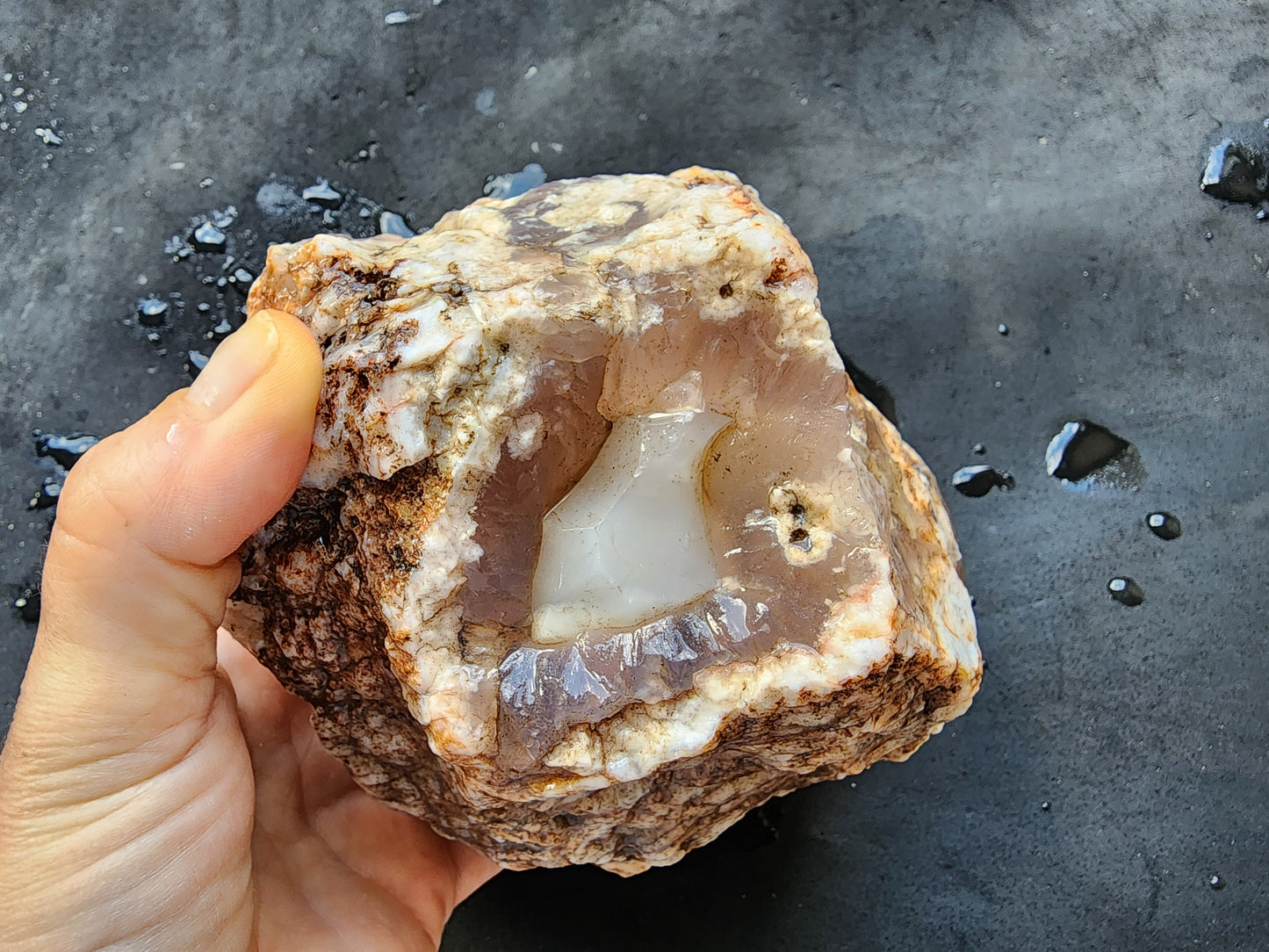 Botryoidal Flower Agate