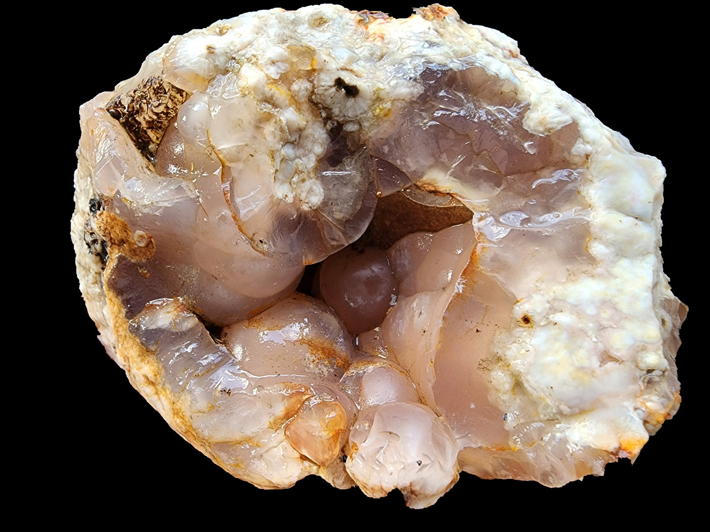 Botryoidal Flower Agate