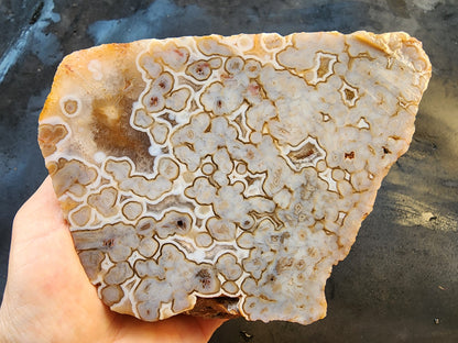 Bubble Agate