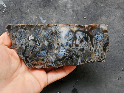 Pseudomorph Agate