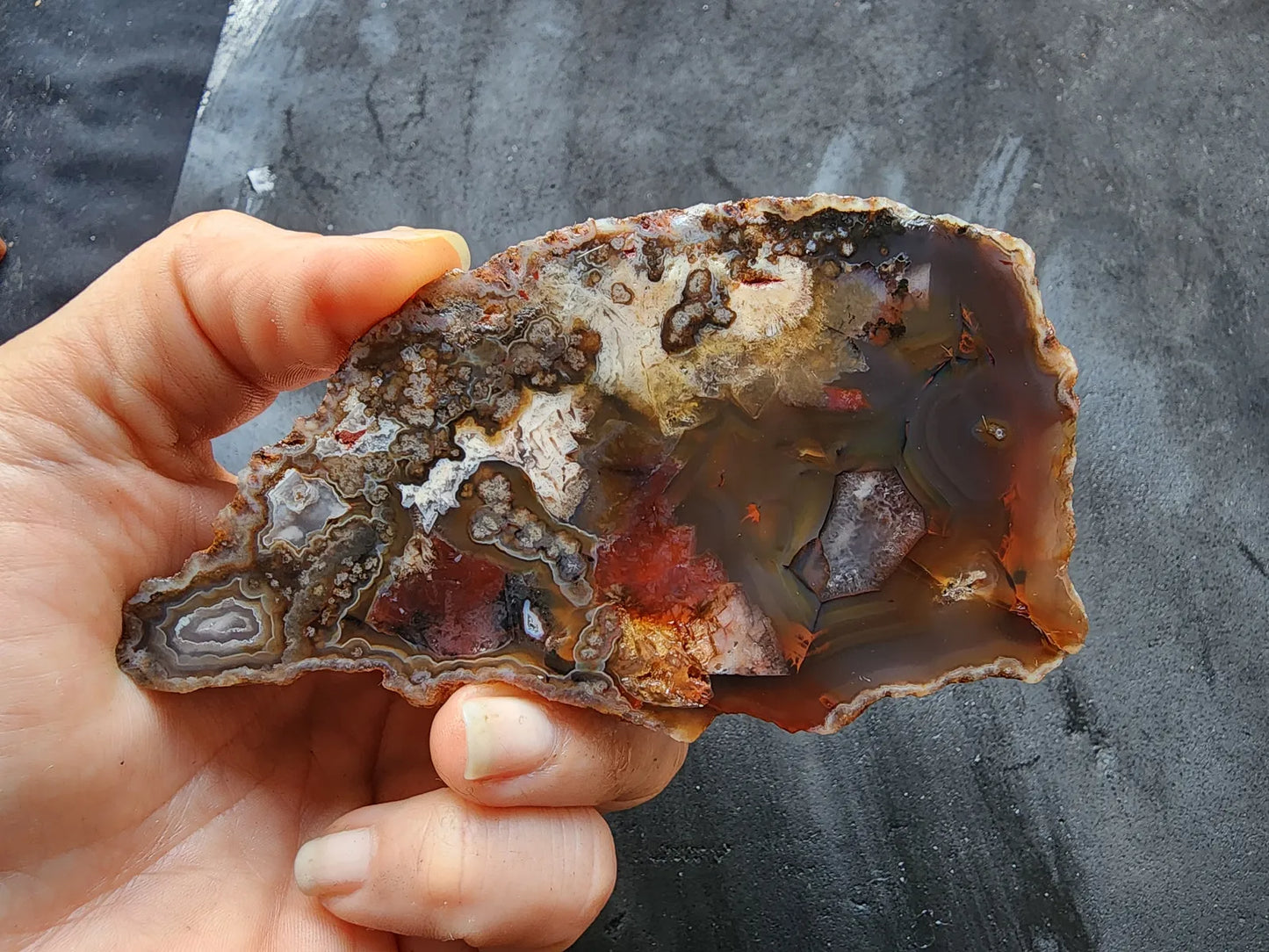 Collectible Agate Stone