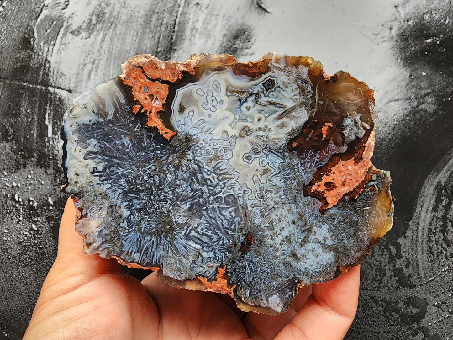 Sagenite Agate